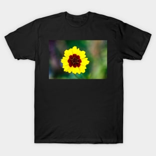 Yellow Tickseed Flower T-Shirt